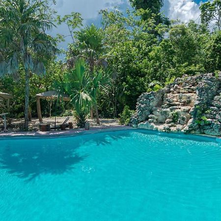 Jolie Jungle Eco Hotel (Adults Only) Leona Vicario Buitenkant foto