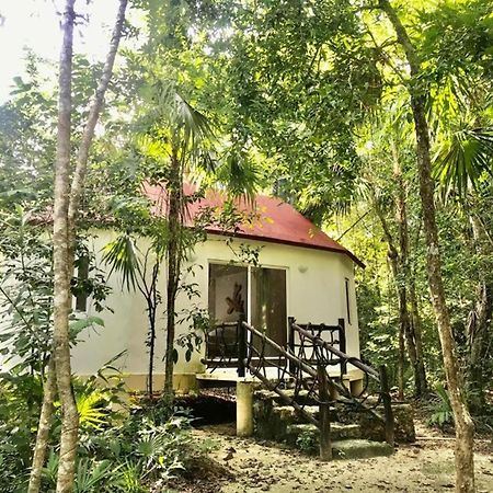 Jolie Jungle Eco Hotel (Adults Only) Leona Vicario Buitenkant foto