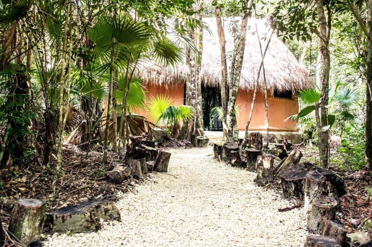 Jolie Jungle Eco Hotel (Adults Only) Leona Vicario Buitenkant foto