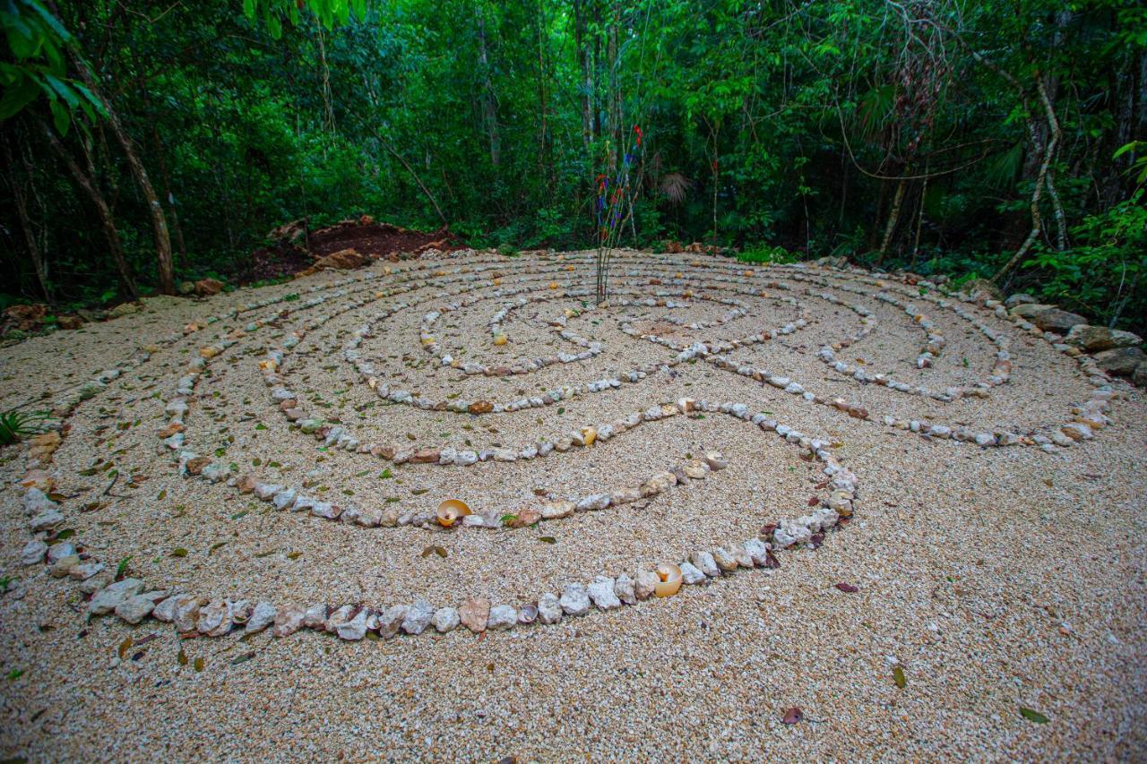 Jolie Jungle Eco Hotel (Adults Only) Leona Vicario Buitenkant foto
