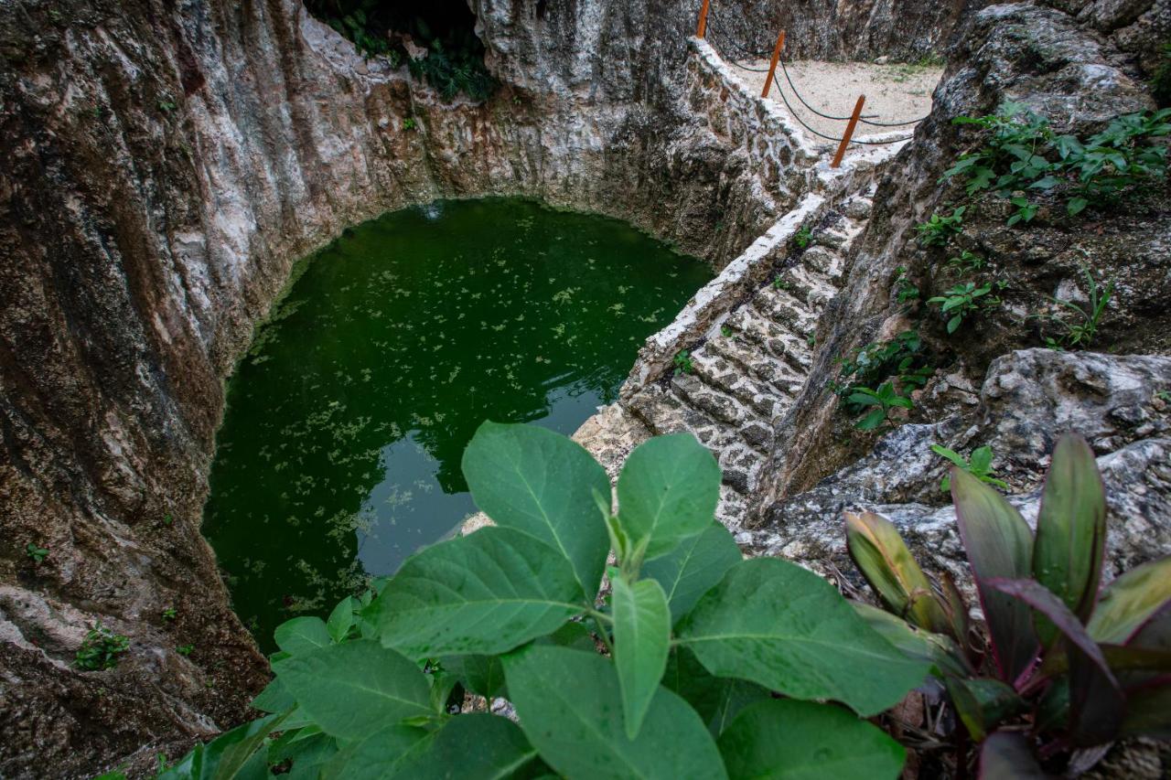 Jolie Jungle Eco Hotel (Adults Only) Leona Vicario Buitenkant foto
