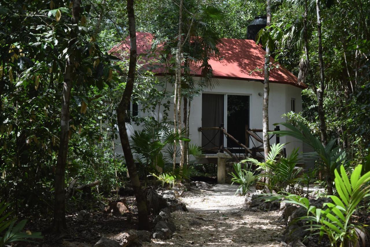 Jolie Jungle Eco Hotel (Adults Only) Leona Vicario Buitenkant foto