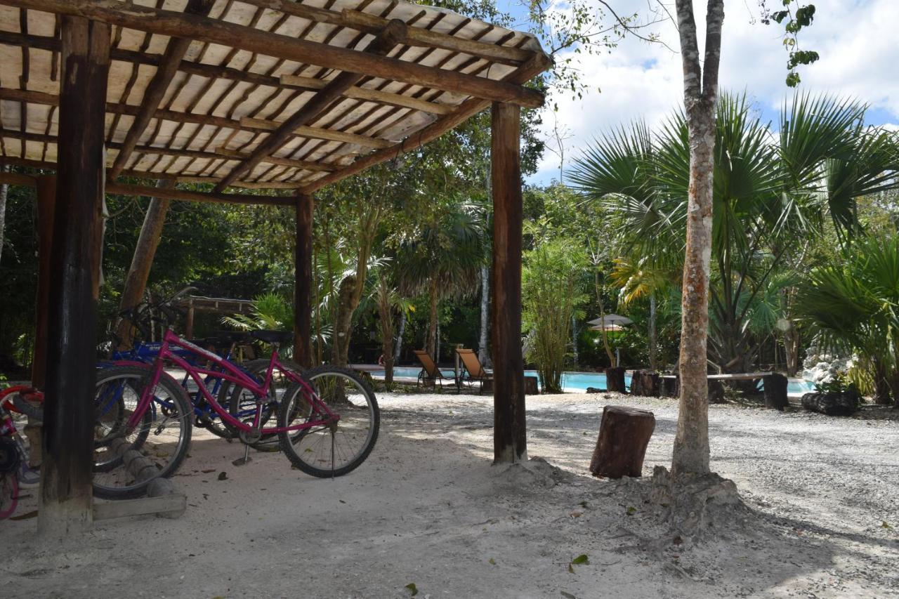 Jolie Jungle Eco Hotel (Adults Only) Leona Vicario Buitenkant foto
