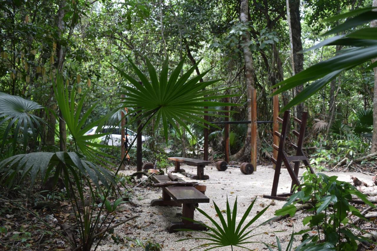 Jolie Jungle Eco Hotel (Adults Only) Leona Vicario Buitenkant foto