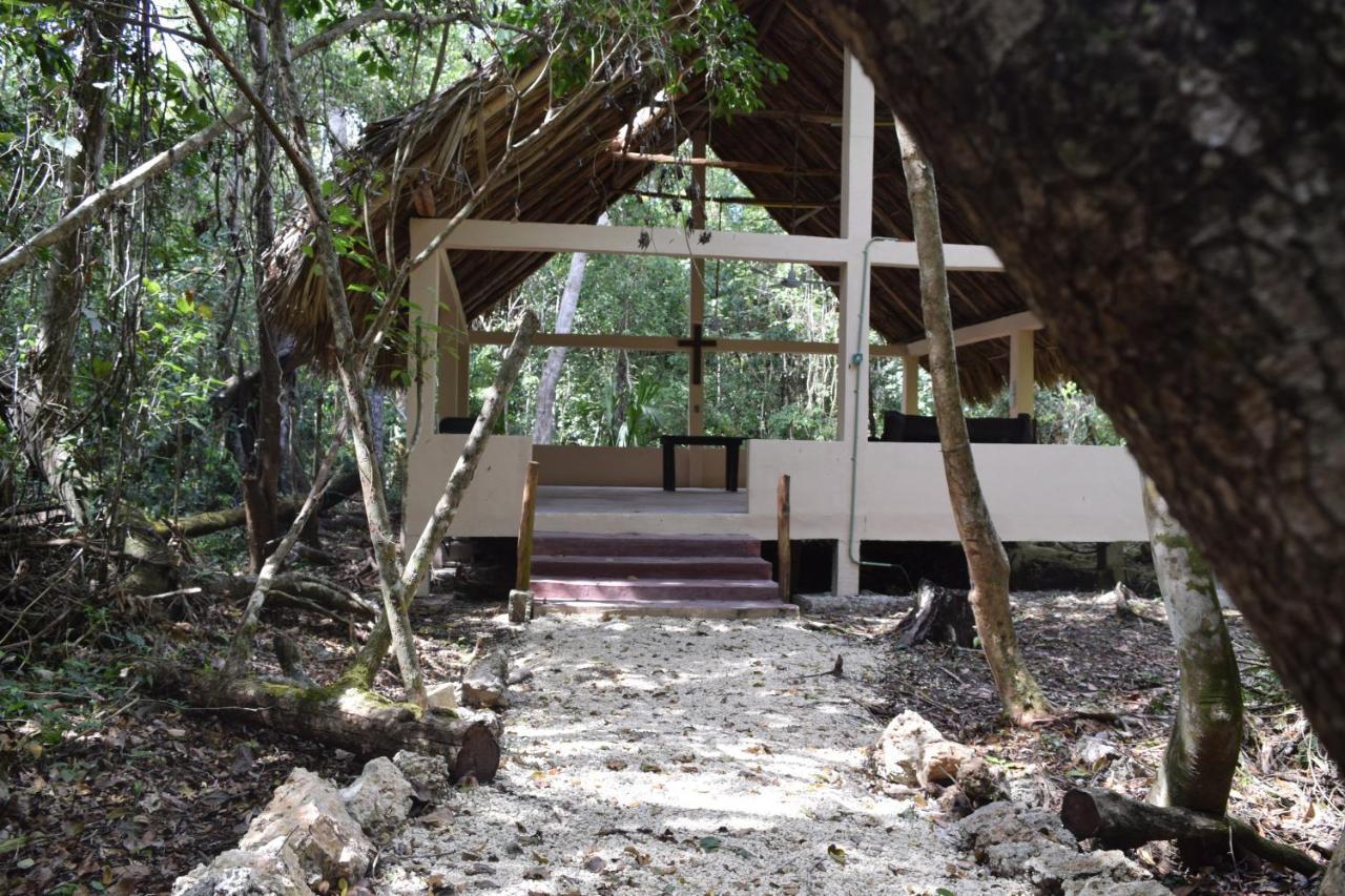 Jolie Jungle Eco Hotel (Adults Only) Leona Vicario Buitenkant foto
