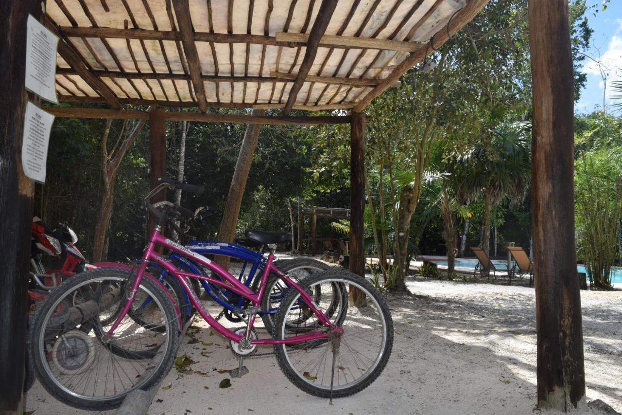 Jolie Jungle Eco Hotel (Adults Only) Leona Vicario Buitenkant foto