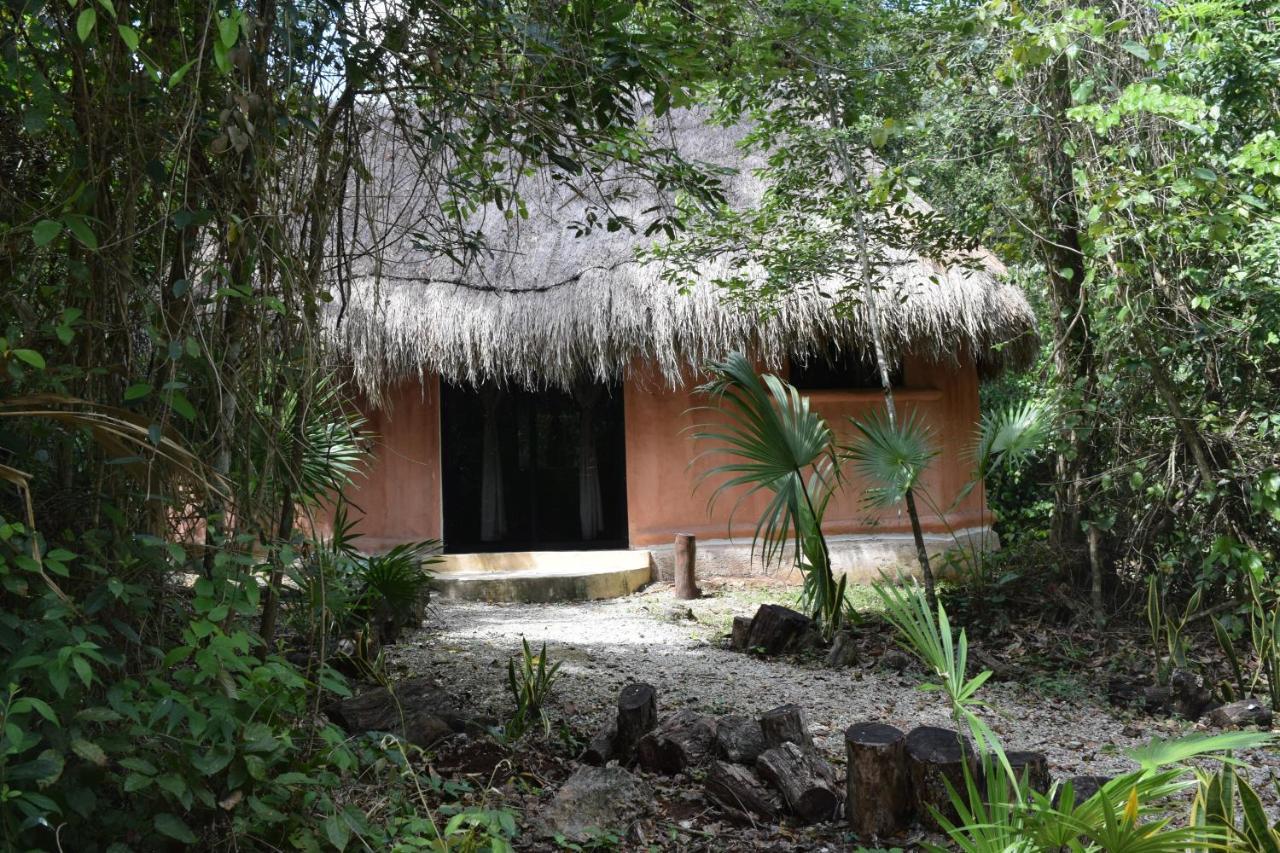 Jolie Jungle Eco Hotel (Adults Only) Leona Vicario Buitenkant foto