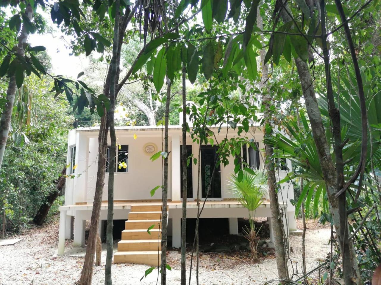 Jolie Jungle Eco Hotel (Adults Only) Leona Vicario Buitenkant foto