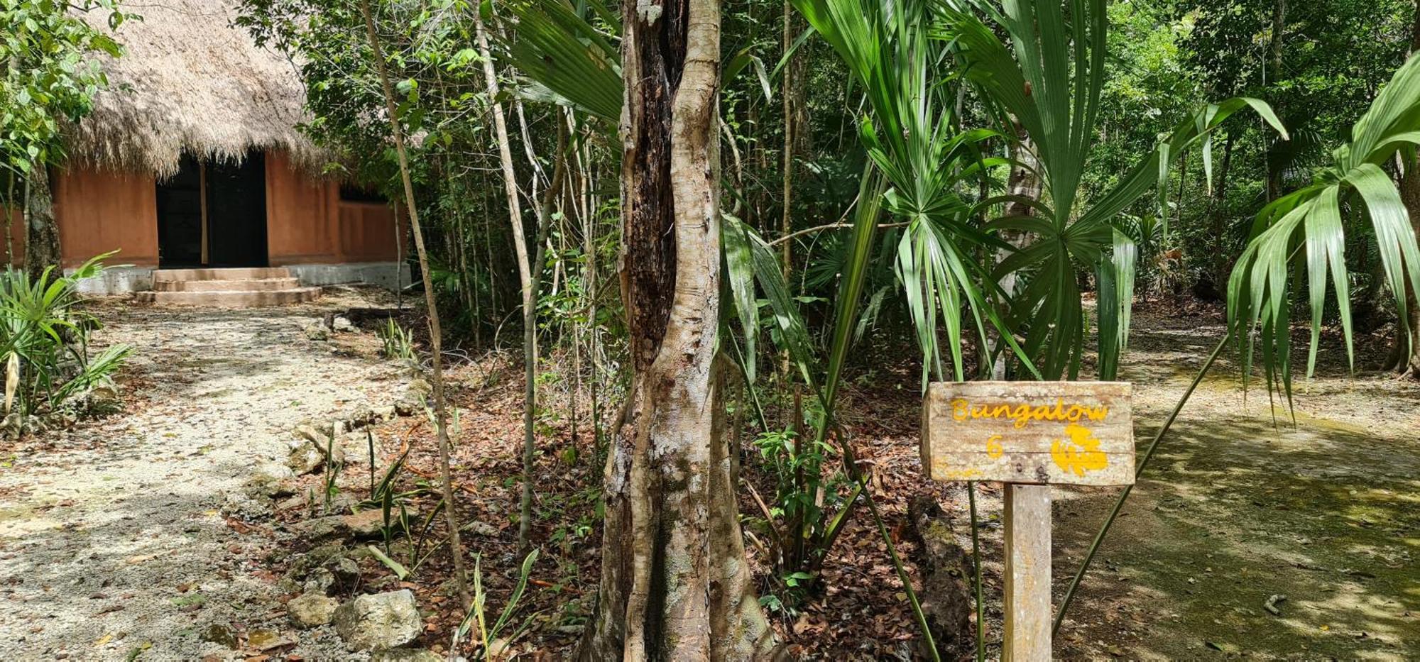 Jolie Jungle Eco Hotel (Adults Only) Leona Vicario Buitenkant foto