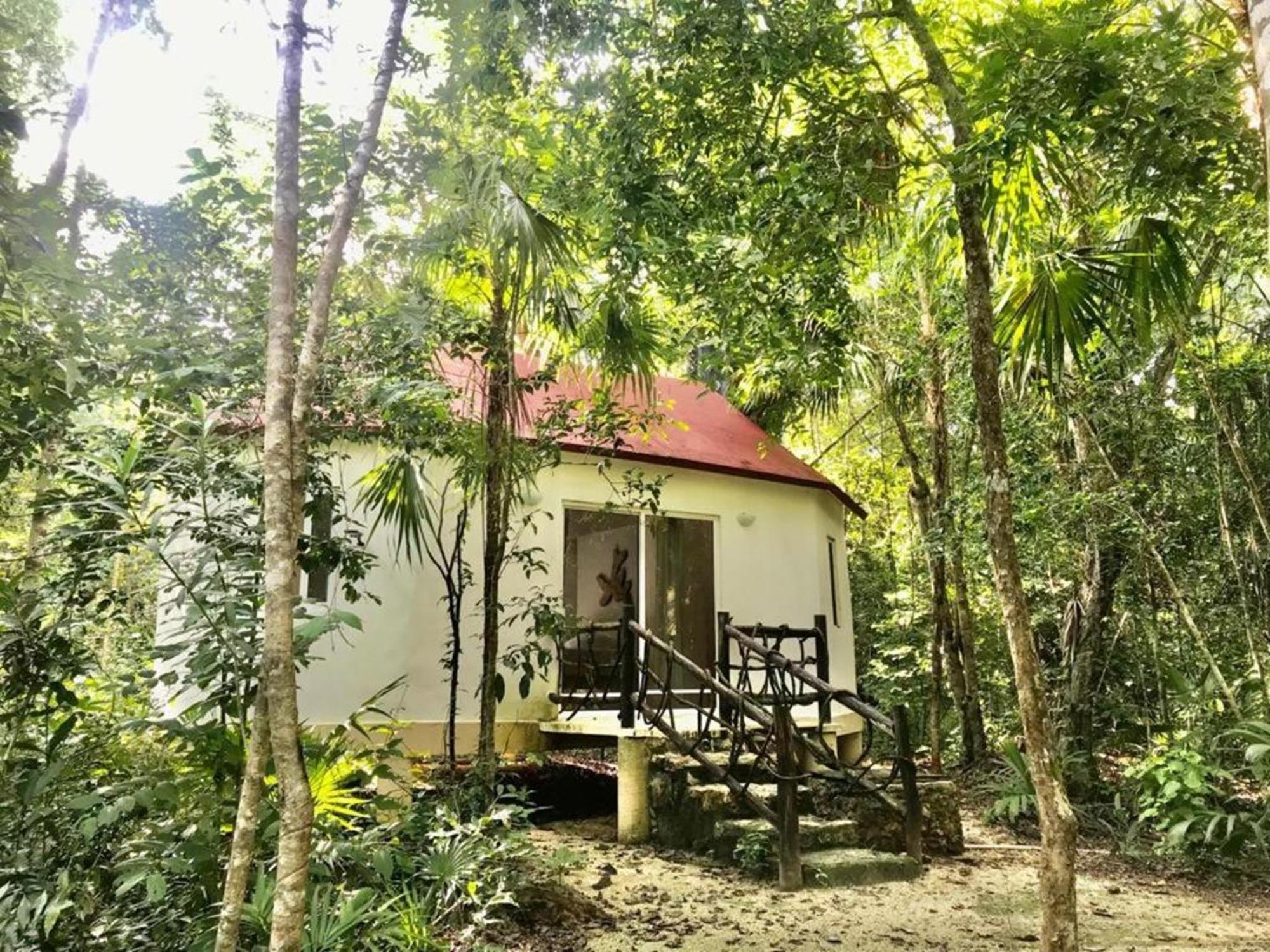 Jolie Jungle Eco Hotel (Adults Only) Leona Vicario Buitenkant foto