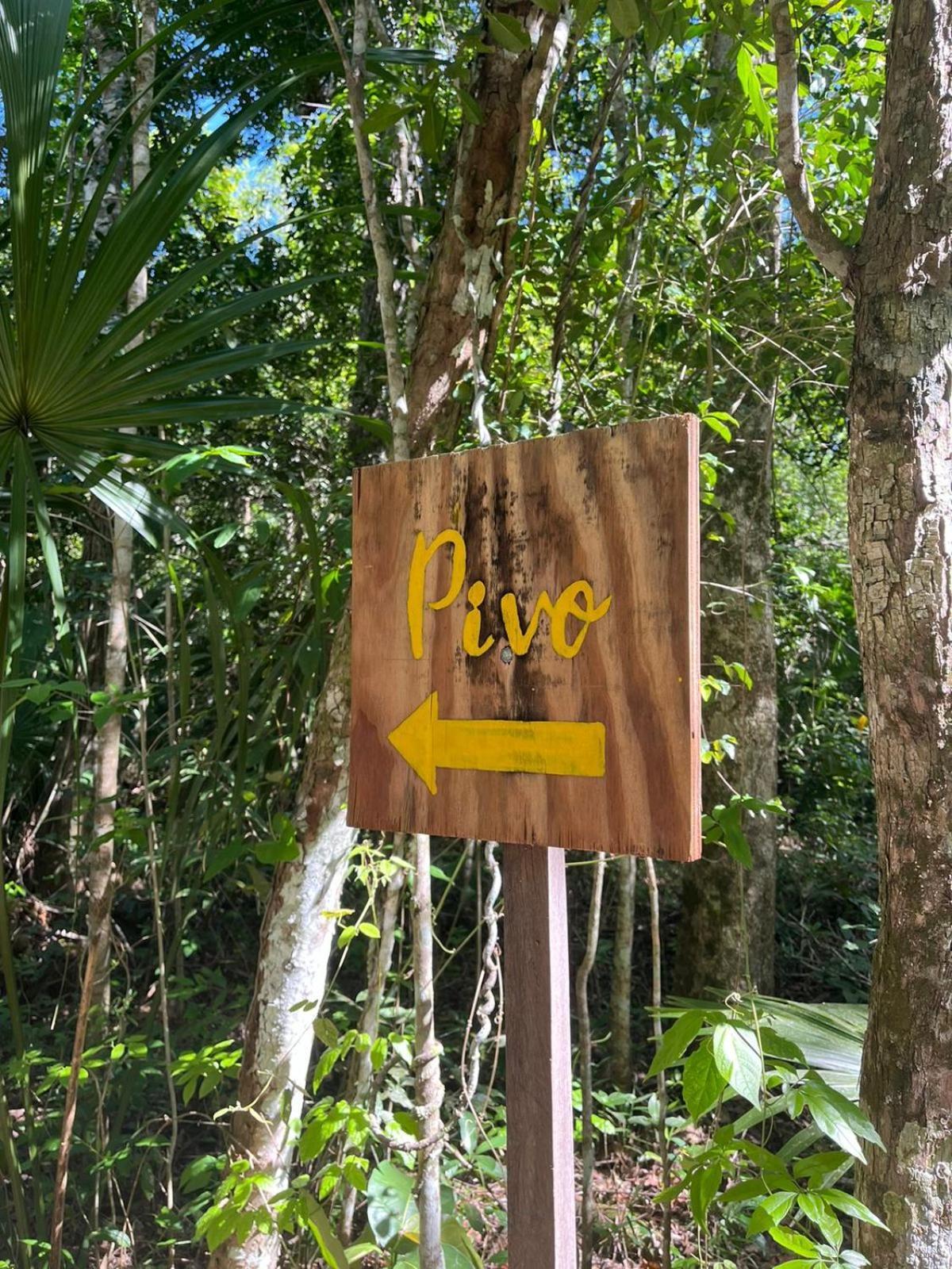 Jolie Jungle Eco Hotel (Adults Only) Leona Vicario Kamer foto