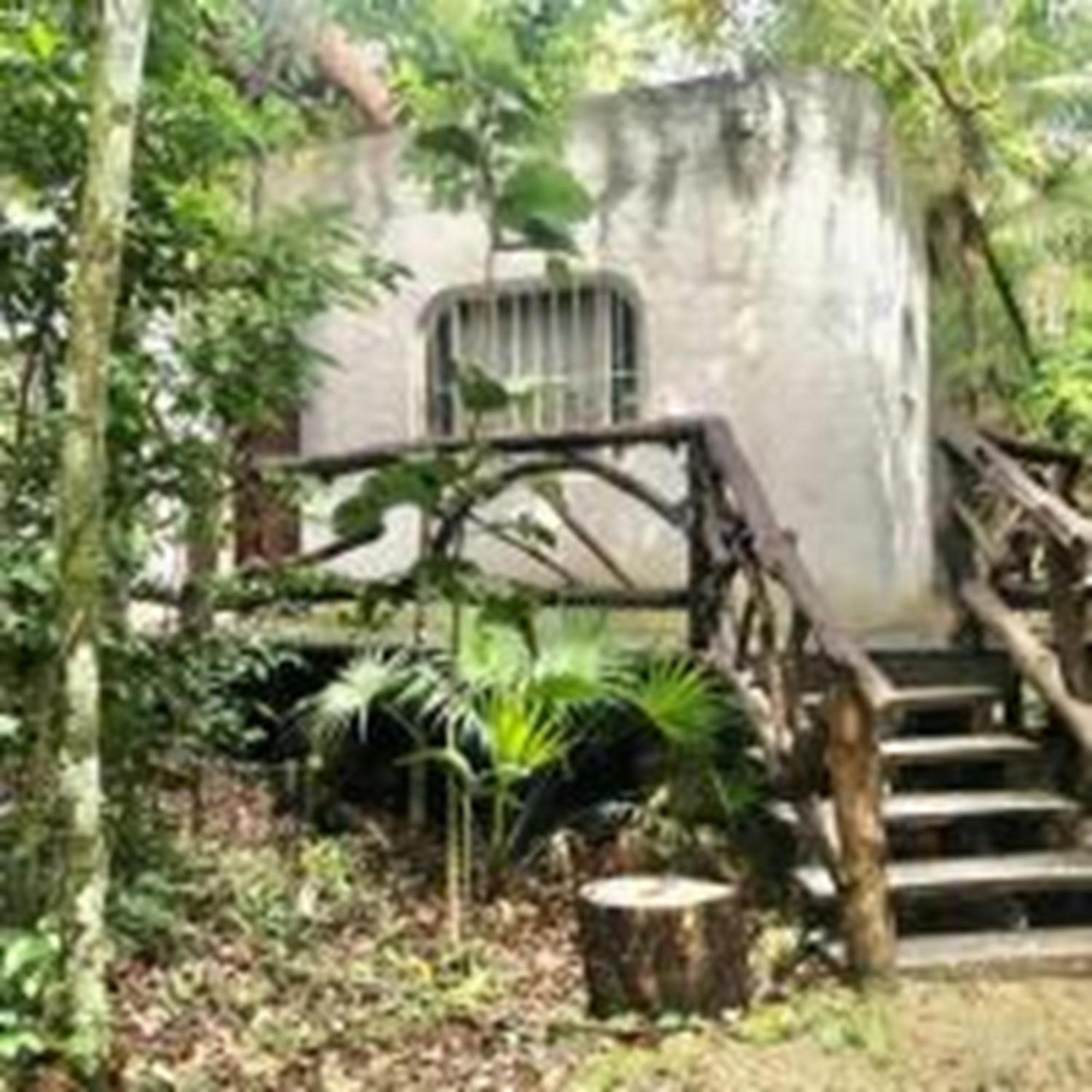 Jolie Jungle Eco Hotel (Adults Only) Leona Vicario Buitenkant foto