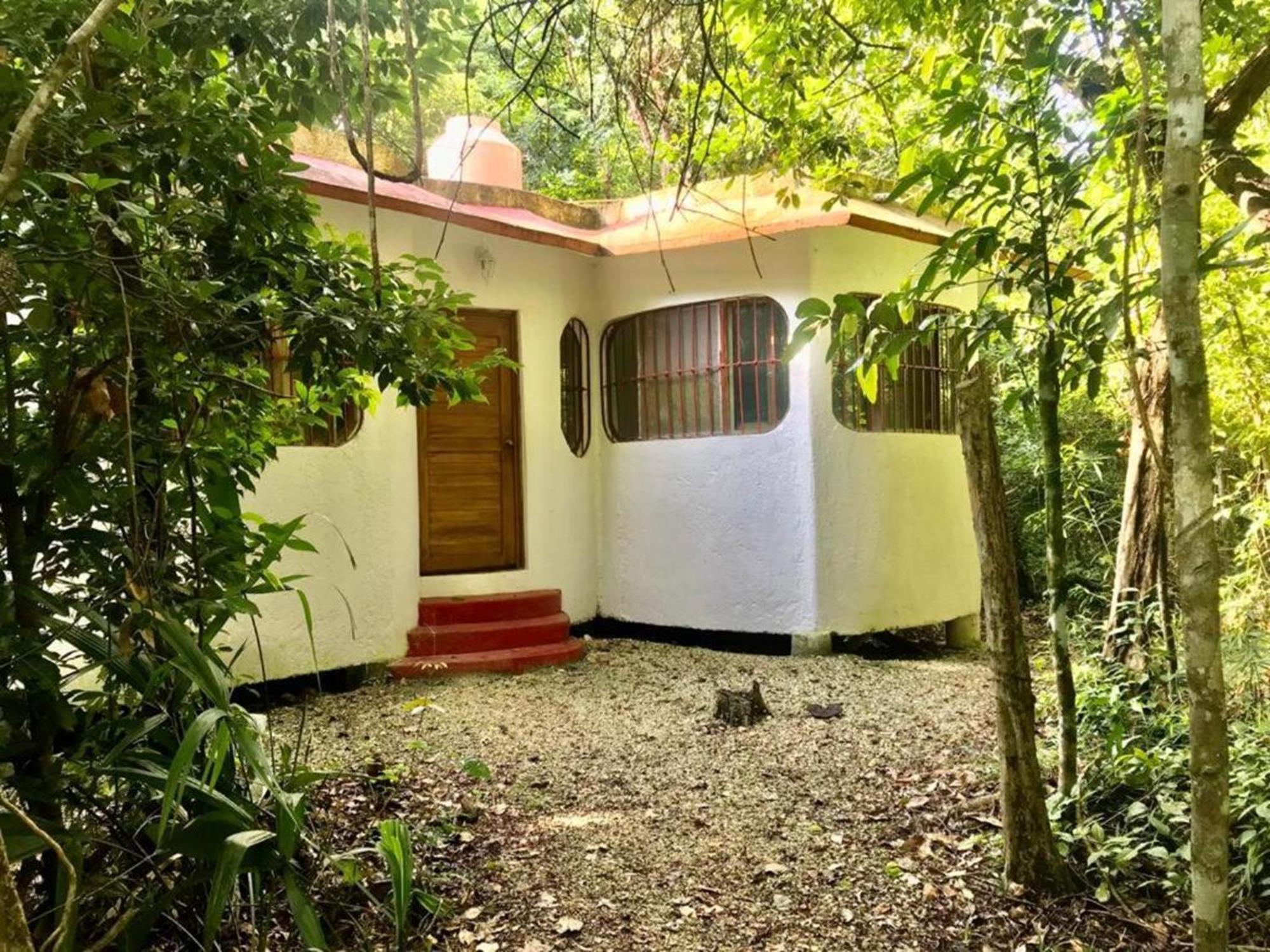 Jolie Jungle Eco Hotel (Adults Only) Leona Vicario Buitenkant foto