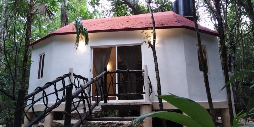 Jolie Jungle Eco Hotel (Adults Only) Leona Vicario Buitenkant foto
